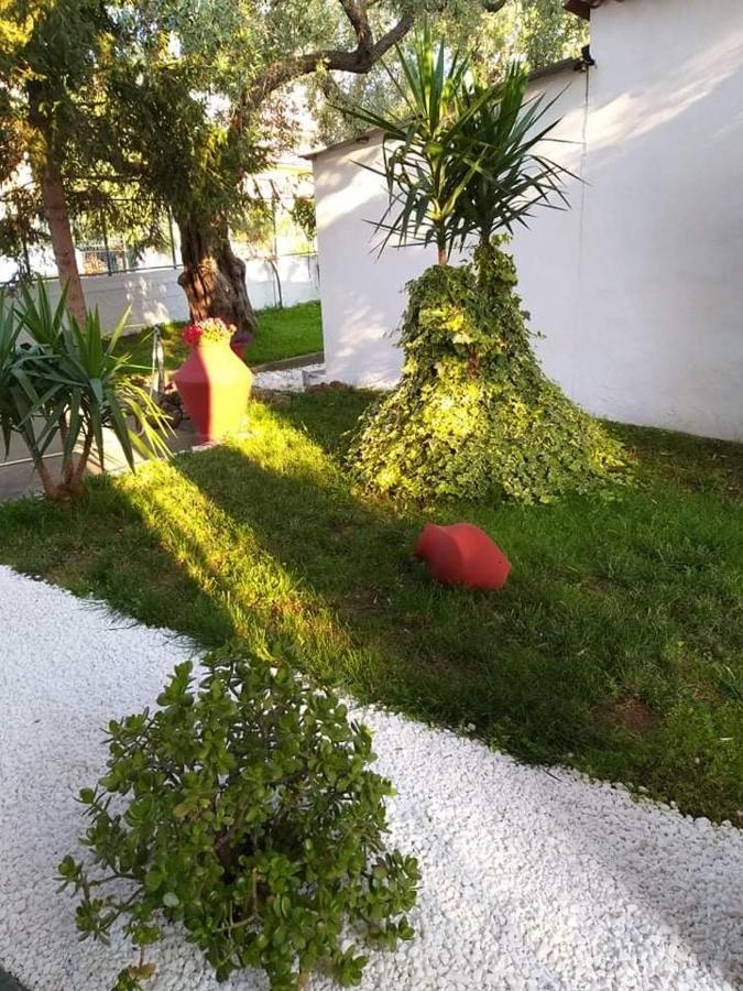 Skála KallirákhisValia House Thassosアパートメント エクステリア 写真